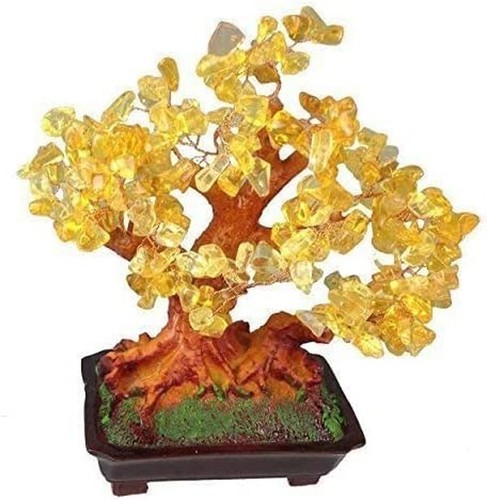 Feng shui glücksbaum - shui,